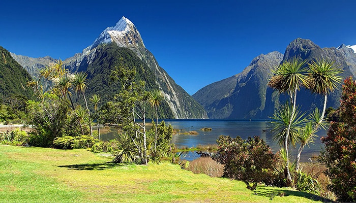 new-zealand 700
