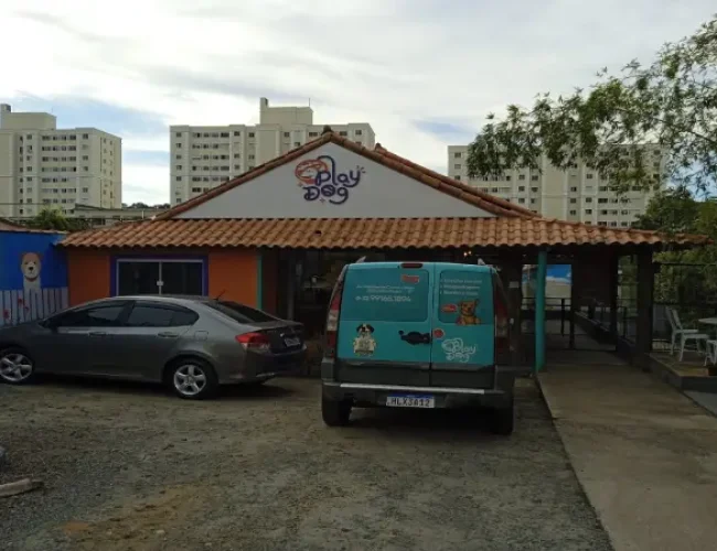 Play-Dog-Sao-Pedro-Juiz-de-Fora-MG-Interacao-Minas-750x450-1